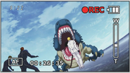 SharkcrocodileVSMatch