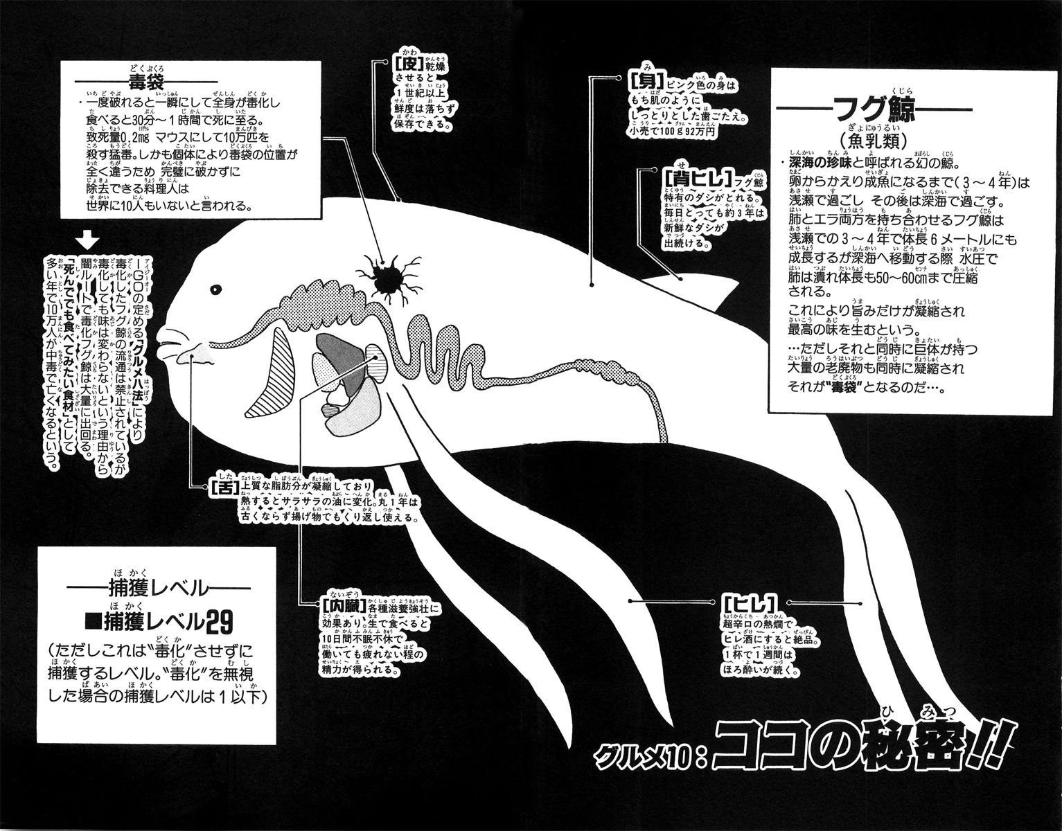Gourmet 10 | Toriko Wiki | Fandom