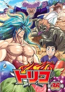 Rental DVD36