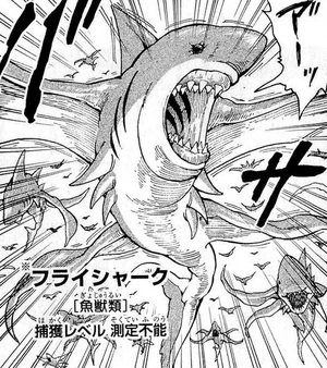 Fly Shark | Toriko Wiki | Fandom