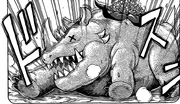 Flavor Rhino