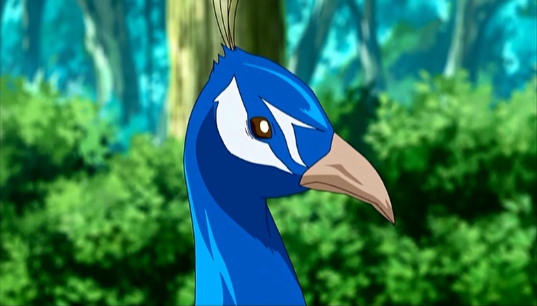Blackjapeacock | Toriko Wiki | Fandom
