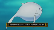 PufferWhaleAnime