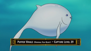 PufferWhaleAnime.png