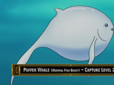 Puffer Whale