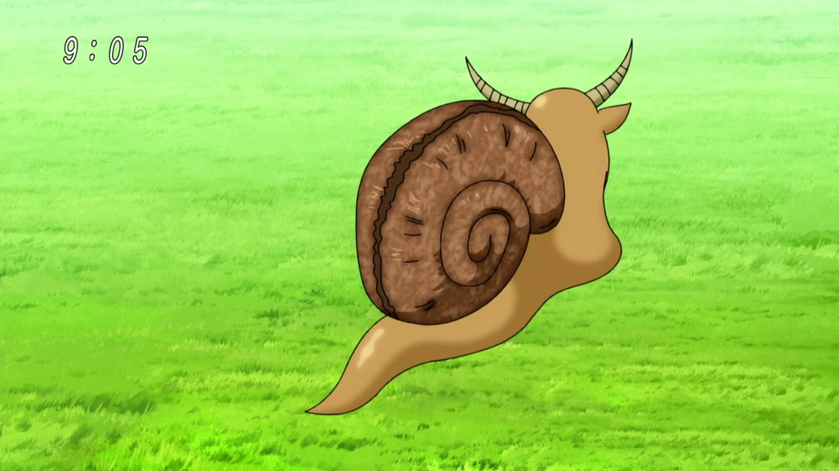 Land snail 🐌 Ghana Tiger snail, Decollate snail, Candy Cane snail(Liguus  virgineus), Cuban painted snail(Polymita venusta), 북한산 달팽이 (Koreanohadra...  | By PikaoleFacebook