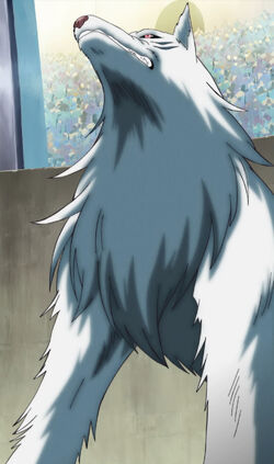 toriko battle wolf