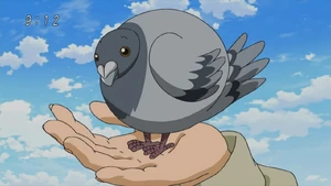-A-Destiny SGKK-Toriko- 07 (1280x720 H264 AAC) -5CB1DAD4- 20110602-14332199