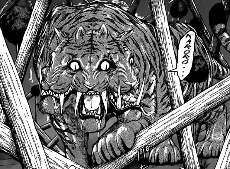 Asura Tiger | Toriko Wiki | Fandom