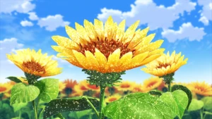 Corona Sunflower | Toriko Wiki | Fandom