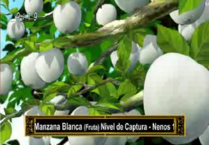 Manzana.png