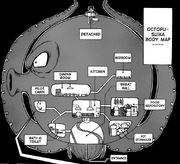 OctochanBodyMap