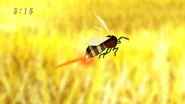 An Infini Bee flying in the island
