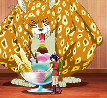 Rikky a young Hayanpanther in comparison to Rin