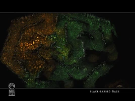 Black barbed maze
