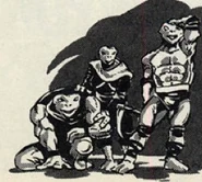 Tortugas Ninja (Road Hogs) (Palladium Books)