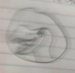 Terrifying T-Rexes | Total Drama University Wiki | Fandom