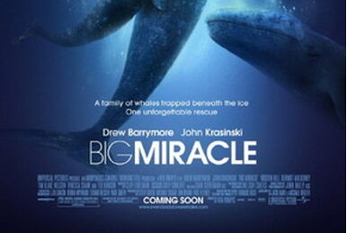 Big Miracle - Wikipedia