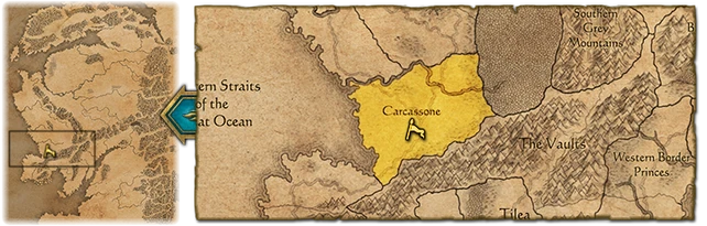 Carcassonne startpos