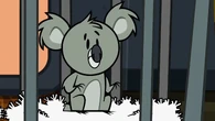 The hungry baby koala.