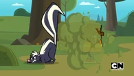 The skunk sprayed Chef for stepping on his tail.