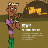 BowiePromotional.jpg (491 KB)