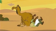 Tdtm chef head camel butt.png (719 KB) Chef unpleasantly gets crushed by the camel.