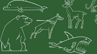 There are several different spirit animals to choose from.