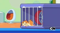 Lenny sleeps in cage.png (370 KB) Chef doesn't believe that it was Lenny who ordered pizza with his phone since he's sleeping in his cage.