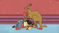 The kangaroo knocks out Leshawna and Harold.