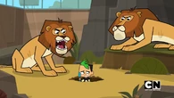 .. in a zoo..