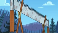 The contestants will use a two-person saw to cut the trees...