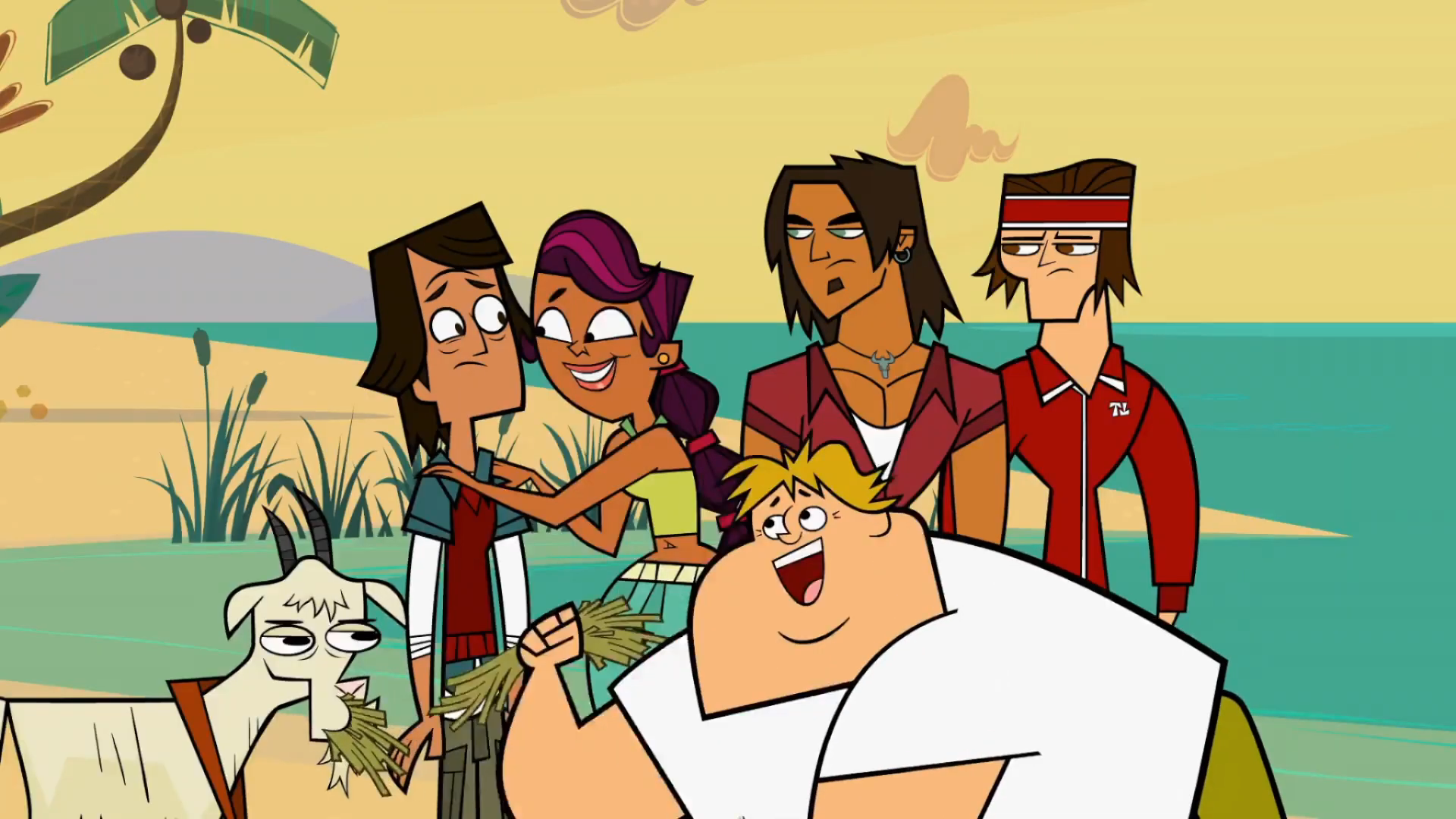 CategoryTeams Total Drama Wiki Fandom