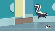 The skunk goes into the kitchen.