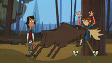 Free: Image - Moose.png, Total Drama Wiki