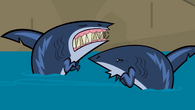 The sharks wince after Harold's landing in Not So Happy Campers - Part 2.