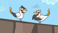 Another mutated seagull laughs.