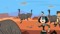 The contestants chase their emus.
