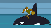 DJ's animal curse continues, when DJ hurts a killer whale.