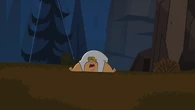 Owen after falling off a cliff.