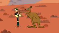 Duncan is attacked by an angry kangaroo...