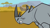 Rhino is angry after rocks striking in his rump.