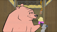 The bear using the confessional while eating ice cream.