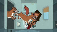Corgis attack Noah in the "That's Gonna Leave A Mark" segment.
