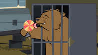 The bear steals Owen's lollipop.