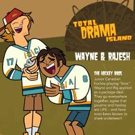 Wayne and Raj's label and description.