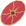 Centurion Shield.png