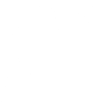 Lightning Projectile Block | Totally Accurate Battle Simulator 