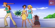 Dog Show Showdown 7.jpg (154 KB)