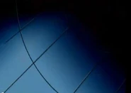 Tunnel.jpg (20 KB) Tunnel used when the girls are WOOHPed